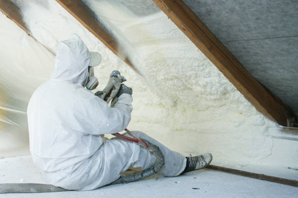 Best Spray Foam Insulation  in Loxley, AL